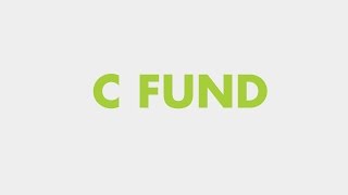 Your TSP Investment Options The C Fund [upl. by Quince]