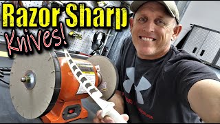 Best Knife Sharpener on the Planet [upl. by Enined]