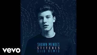 Shawn Mendes  Stitches SeeB Remix  Official Audio [upl. by Ainesej]