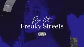 Doja Cat  Freaky Streets Freak x Streets [upl. by Niwhsa]