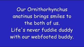 Phineas And Ferb  Everythings Better With Perry Lyrics HD  HQ [upl. by Bartel600]